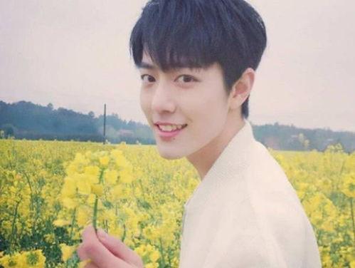 吃瓜娱乐圈肖战王一博,肖战王一博的瓜界传奇  第3张