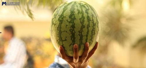 吃娱乐圈的瓜,揭秘明星幕后故事与情感纠葛  第2张